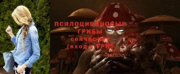 mdma Коряжма