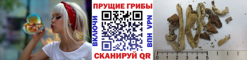 Галлюциногенные грибы ЛСД  Купить закладки  Рыбное 