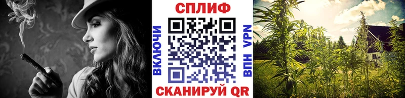 Купить закладки  Рыбное  Конопля SATIVA & INDICA 